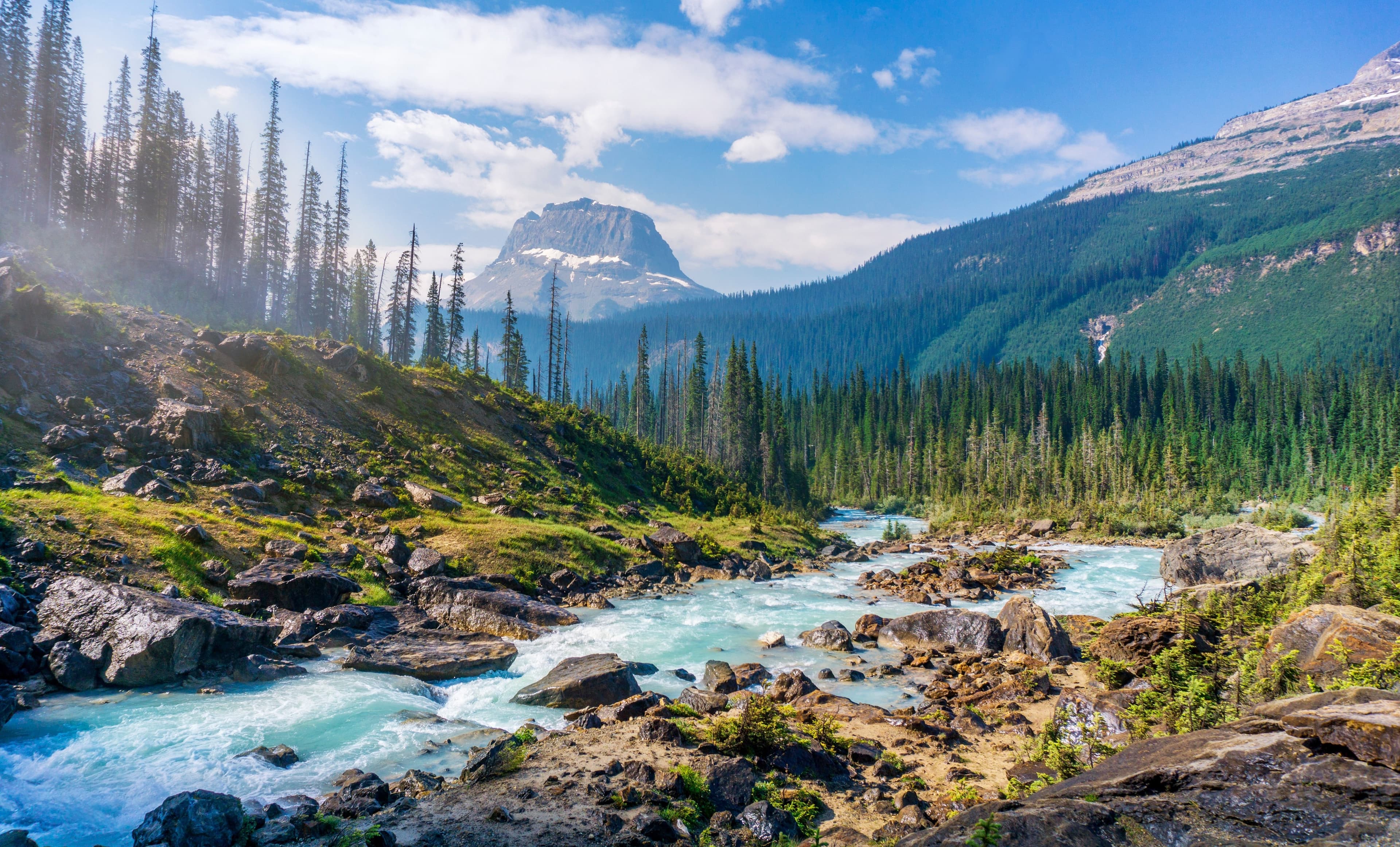 Async Programming in Flutter With Streams